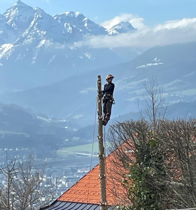 Baumfällung Innsbruck